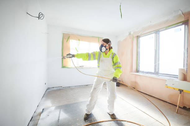 Best Black Mold Removal  in Flowing Wells, AZ