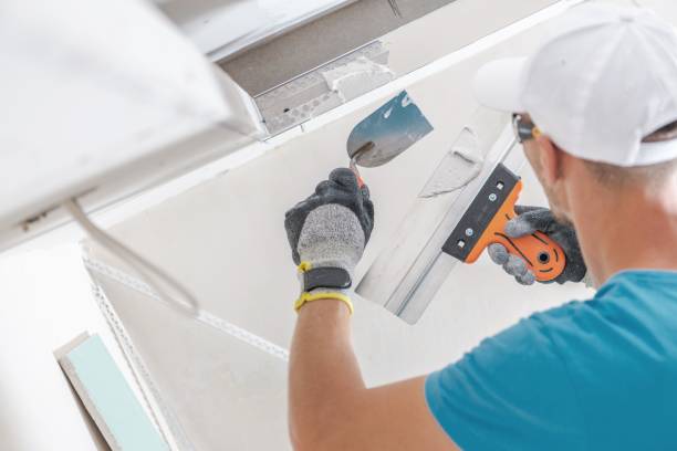 Best Airborne Mold Testing  in Flowing Wells, AZ